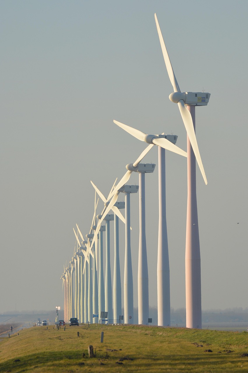 nature-678328_1280.jpg